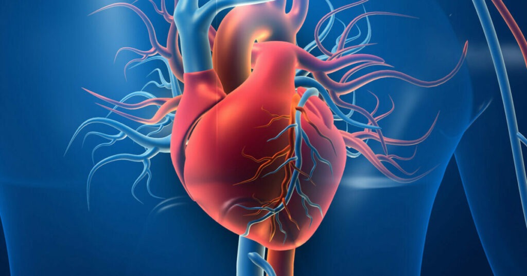 Cardiovascular Disease