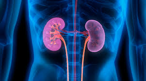 Kidney disorders