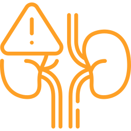 kidney 1