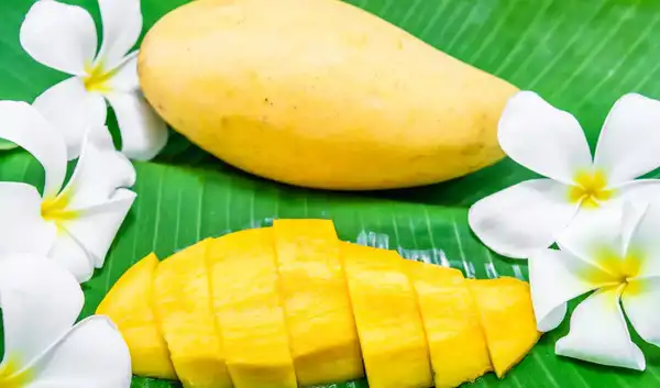 Why I Never Say No to Mangoes—Even on a Weight Loss Journey
